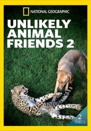 Unlikely Animal Friends. Vol. 2 (2012) subtitles - SUBDL poster