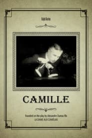 Camille: The Fate of a Coquette Farsi_persian  subtitles - SUBDL poster