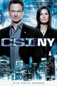 CSI: NY English  subtitles - SUBDL poster