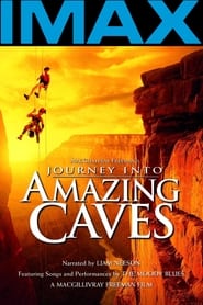 Journey into Amazing Caves Arabic  subtitles - SUBDL poster