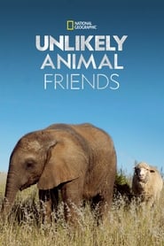 Unlikely Animal Friends (2012) subtitles - SUBDL poster