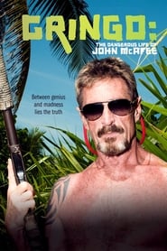 Gringo: The Dangerous Life of John McAfee (2016) subtitles - SUBDL poster