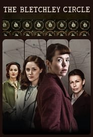 The Bletchley Circle (2012) subtitles