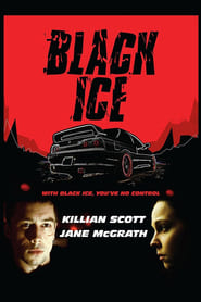 Black Ice (2013) subtitles - SUBDL poster