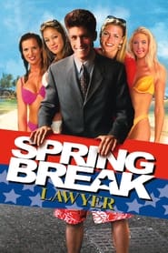 Spring Break Lawyer (2010) subtitles - SUBDL poster
