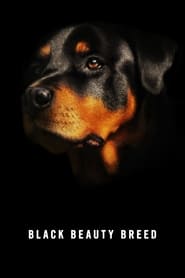 Black Beauty Breed (2014) subtitles - SUBDL poster