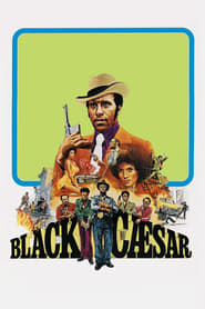 Black Caesar English  subtitles - SUBDL poster
