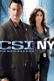 CSI: NY Romanian  subtitles - SUBDL poster