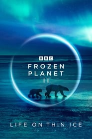 Frozen Planet II English  subtitles - SUBDL poster