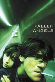 Fallen Angels (1995) subtitles