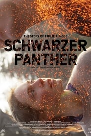 Black Panther (2013) subtitles - SUBDL poster