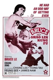 Bruce and Shaolin Kung Fu (1977) subtitles