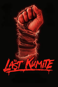 The Last Kumite (2024) subtitles - SUBDL poster