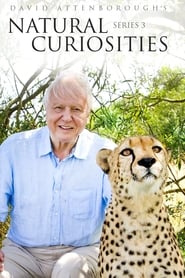 David Attenborough's Natural Curiosities