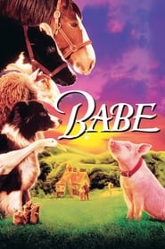Babe (1995) subtitles - SUBDL poster