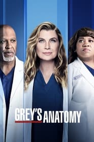 Grey's Anatomy English  subtitles - SUBDL poster