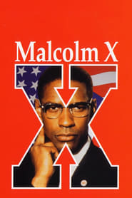 Malcolm X Danish  subtitles - SUBDL poster