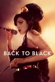 Back to Black (2024) subtitles - SUBDL poster