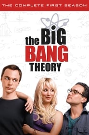 The Big Bang Theory Hungarian  subtitles - SUBDL poster