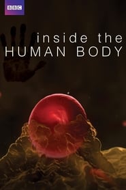 BBC: Inside the Human Body