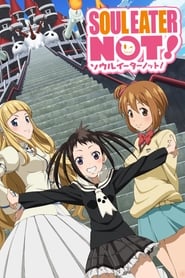 Soul Eater Not! (2014) subtitles