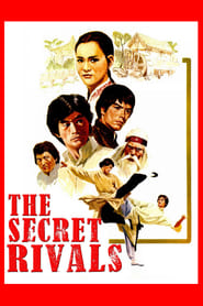 The Secret Rivals (Nan quan bei tui)