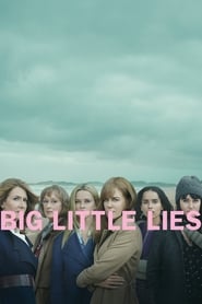 Big Little Lies (2017) subtitles - SUBDL poster